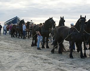 Unterkunft 030373 - Chalet Terschelling - De Branding