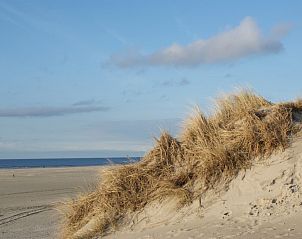 Unterkunft 030373 - Chalet Terschelling - De Branding