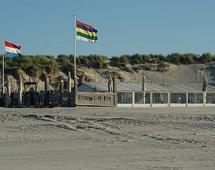 Unterkunft 030373 - Chalet Terschelling - De Branding