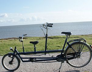 Unterkunft 030373 - Chalet Terschelling - De Branding