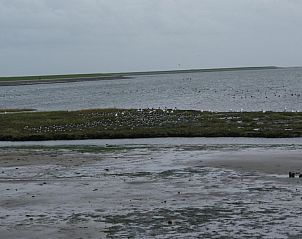 Unterkunft 030373 - Chalet Terschelling - De Branding