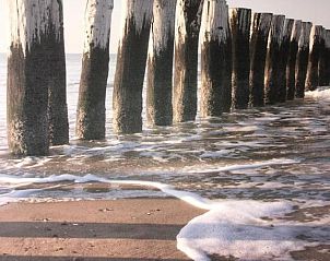 Verblijf 030408 - Vakantiewoning Ameland - Meeuw