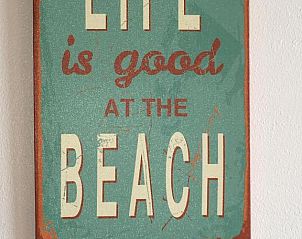 Verblijf 030408 - Vakantiewoning Ameland - Meeuw