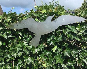 Verblijf 030408 - Vakantiewoning Ameland - Meeuw