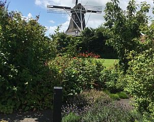 Verblijf 030408 - Vakantiewoning Ameland - Meeuw