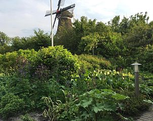 Verblijf 030408 - Vakantiewoning Ameland - Meeuw