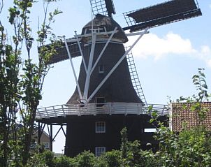 Verblijf 030408 - Vakantiewoning Ameland - Meeuw