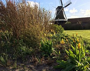 Verblijf 030408 - Vakantiewoning Ameland - Meeuw