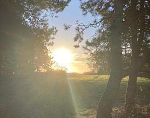 Unterkunft 030410 - Appartement Ameland - Amelander Kaap Appartement 112