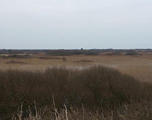 Unterkunft 030410 - Appartement Ameland - Amelander Kaap Appartement 112