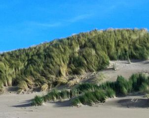 Unterkunft 030410 - Appartement Ameland - Amelander Kaap Appartement 112