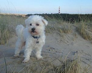 Verblijf 030414 - Appartement Ameland - Wijnberg Appartementen