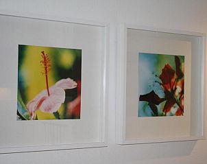 Verblijf 030423 - Appartement Ameland - Appartement ZEEDUIN - Amelander Kaap met ZWEMBAD