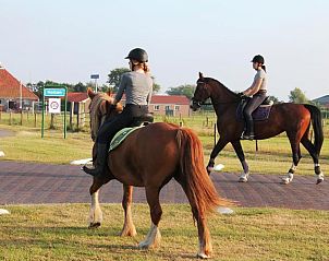 Verblijf 030423 - Appartement Ameland - Appartement ZEEDUIN - Amelander Kaap met ZWEMBAD