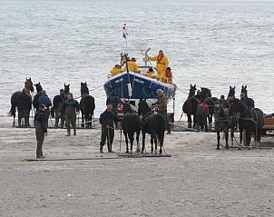 Verblijf 030427 - Appartement Ameland - Appartement Tjerk