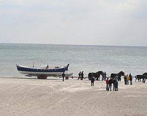 Verblijf 030427 - Appartement Ameland - Appartement Tjerk