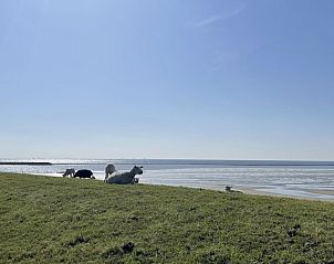 Unterkunft 030443 - Chalet Terschelling - Wolkenpracht
