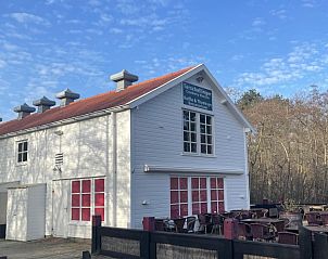 Unterkunft 030443 - Chalet Terschelling - Wolkenpracht