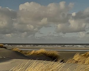 Unterkunft 030443 - Chalet Terschelling - Wolkenpracht