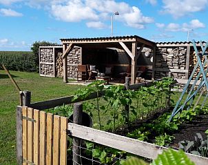 Unterkunft 030504 - Appartement Terschelling - Appartementenboerderij de Hek Oost