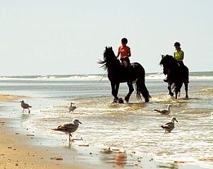 Unterkunft 030506 - Appartement Terschelling - Aike van Rel