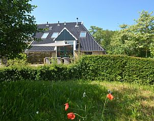 Groene tuin rondom Zeeduin vakantiehuis in Hoorn, Terschelling.