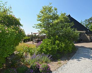 Bloemrijke tuin bij Zeeduin appartement, Hoorn, Terschelling.