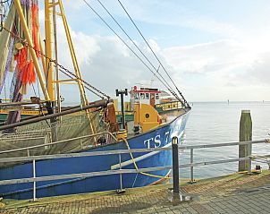 Unterkunft 030904 - Ferienhaus Terschelling - Duindroom op Terschelling