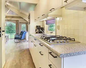 Guest house 030906 - Bungalow Terschelling - Schuttersbos | 4-6-persoons cottage | 4-6D