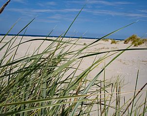 Unterkunft 0310117 - Appartement Terschelling - Appartement Jelle