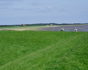 Unterkunft 0310117 - Appartement Terschelling - Appartement Jelle