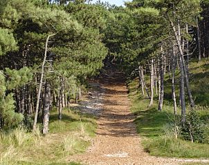 Unterkunft 0310117 - Appartement Terschelling - Appartement Jelle