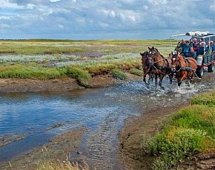 Paard en wagen in de omgeving van Wadhuske vakantiehuis, Oosterend, Terschelling.