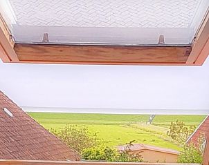 Uitzicht op de groene omgeving vanuit Wadhuske vakantiehuis, Oosterend, Terschelling.