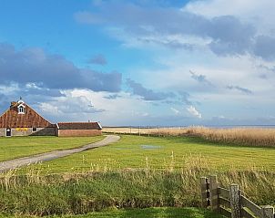 Natuurlijke omgeving rond Wadhuske vakantiehuis, Oosterend, Terschelling.