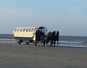 Paard en wagen op het strand nabij Wadhuske vakantiehuis, Terschelling.