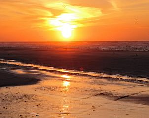Unterkunft 031017 - Ferienhaus Terschelling - Vakantiehuis in Oosterend
