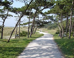 Unterkunft 031017 - Ferienhaus Terschelling - Vakantiehuis in Oosterend