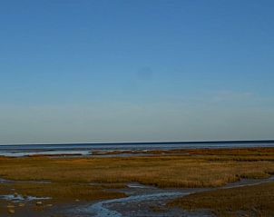 Guest house 031026 - Holiday property Terschelling - Vakantiehuis in Oosterend