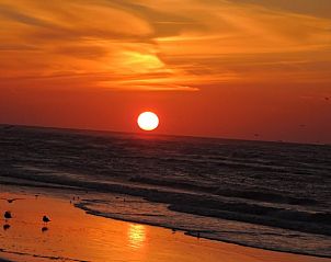 Unterkunft 031027 - Ferienhaus Terschelling - Huisje in Oosterend