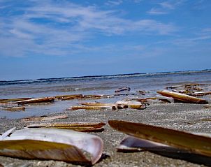 Unterkunft 031027 - Ferienhaus Terschelling - Huisje in Oosterend
