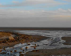 Guest house 031028 - Holiday property Terschelling - Vakantiehuis in Oosterend