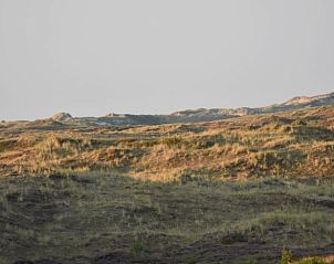 Guest house 031031 - Holiday property Terschelling - Vakantiehuisje in Oosterend