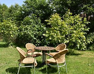 Guest house 031033 - Holiday property Terschelling - Huisje in Oosterend