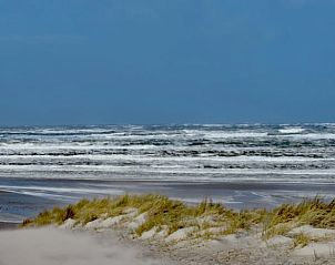 Guest house 031033 - Holiday property Terschelling - Huisje in Oosterend