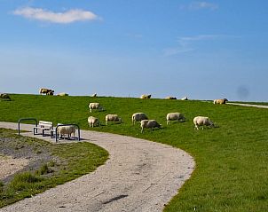 Guest house 031033 - Holiday property Terschelling - Huisje in Oosterend