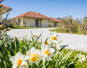 Guest house 031035 - Holiday property Terschelling - Villa bungalow Whirlpool