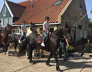 Paardrijden in de omgeving van Vakantiehuisje in West Terschelling, een avontuurlijke activiteit op de Waddeneilanden.