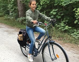 Fietstocht door de bossen rondom Vakantiehuisje in West Terschelling, een leuke manier om de Waddeneilanden te verkennen.