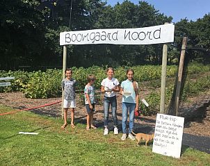 Boomgaard Noord nabij Vakantiehuisje in West Terschelling, ideaal voor een dagje fruit plukken op de Waddeneilanden.